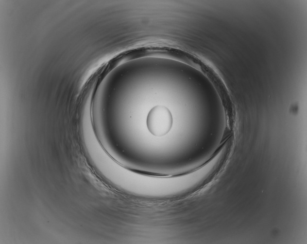 X0000116800973200912181314