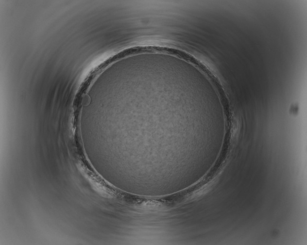 X0000116800974200912181314