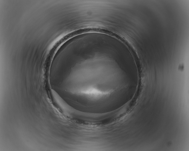 X0000116800975200912181314