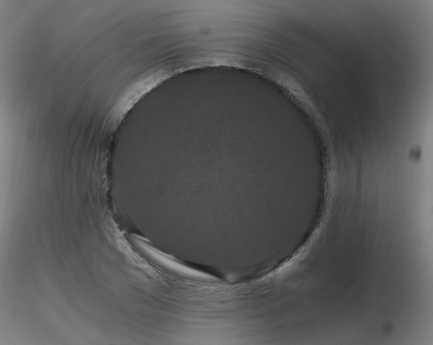 X0000116800977200912181314
