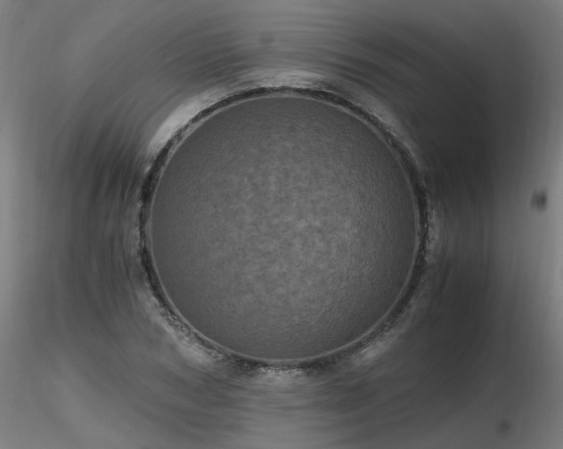 X0000116800978200912181314