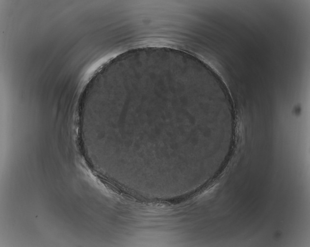 X0000116800979200912181314