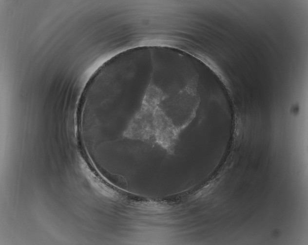 X0000116800980200912181314