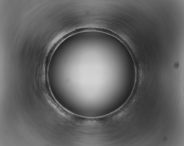 X0000116800982200912181314
