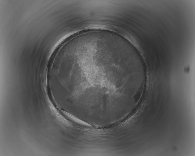 X0000116800984200912181314