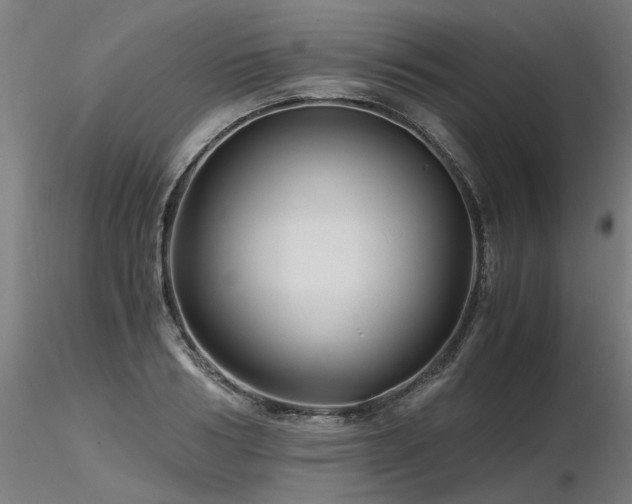 X0000116800986200912181314