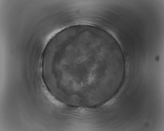 X0000116800987200912181314