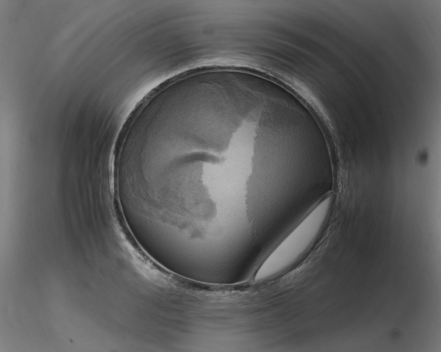 X0000116800988200912181314