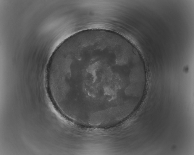 X0000116800991200912181314