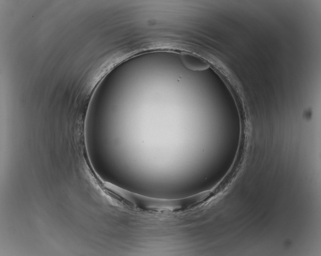 X0000116800993200912181314