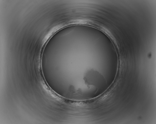 X0000116800994200912181314