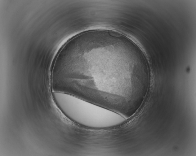 X0000116800996200912181314