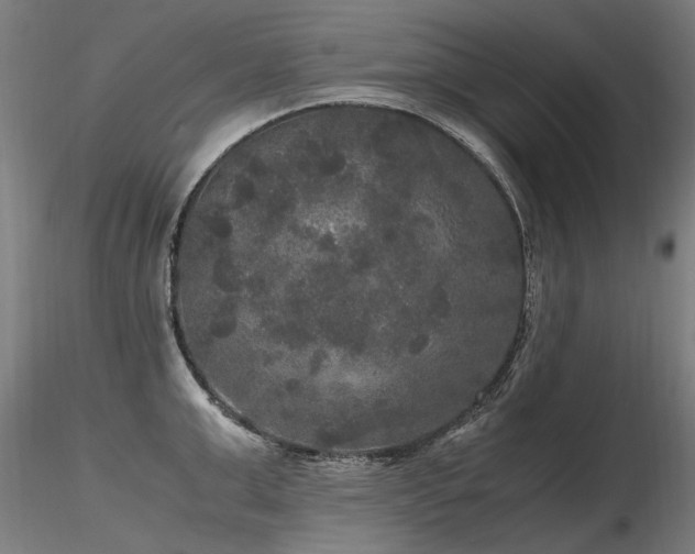X0000116800999200912181313
