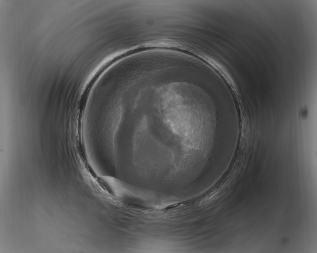 X0000116801000200912181313