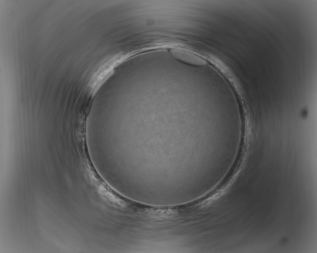 X0000116801001200912181313