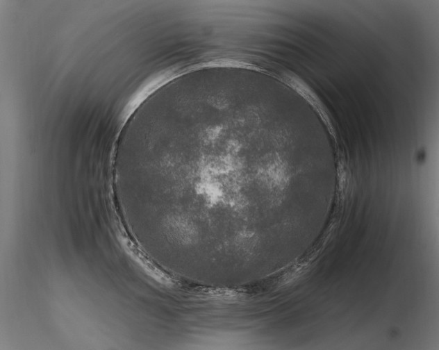 X0000116801002200912181313