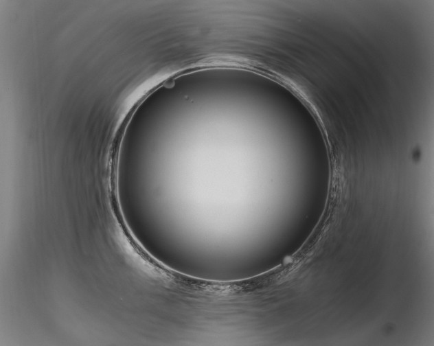 X0000116801003200912181313