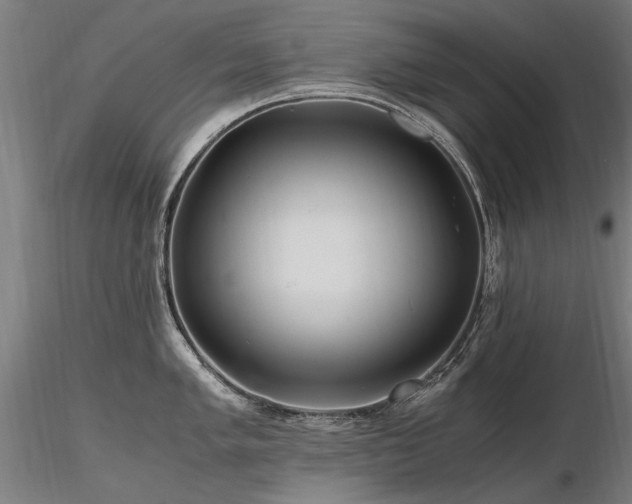 X0000116801005200912181313