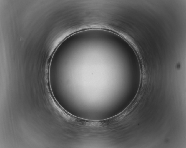 X0000116801006200912181313