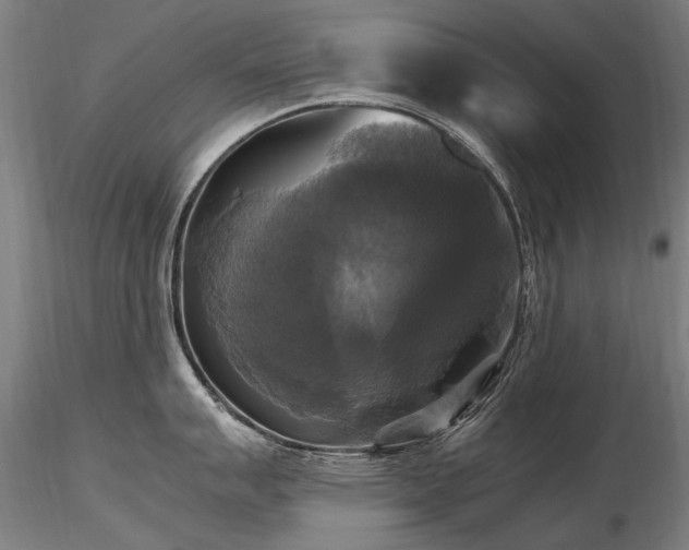 X0000116801007200912181313