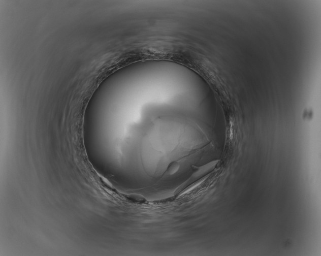 X0000116801009200912181313