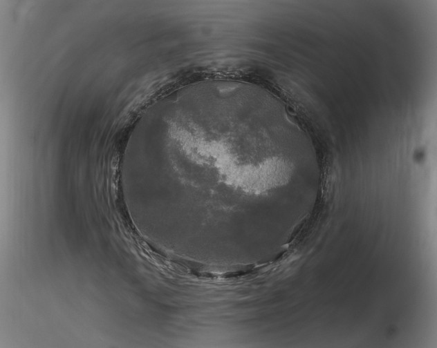 X0000116801010200912181313