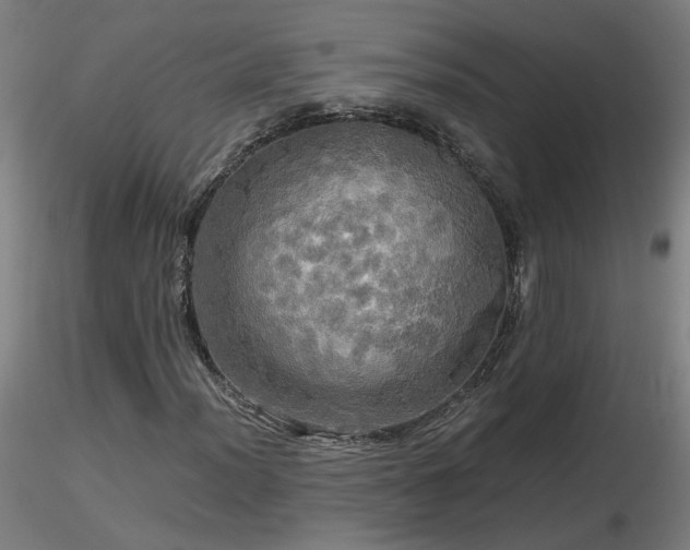 X0000116801012200912181313