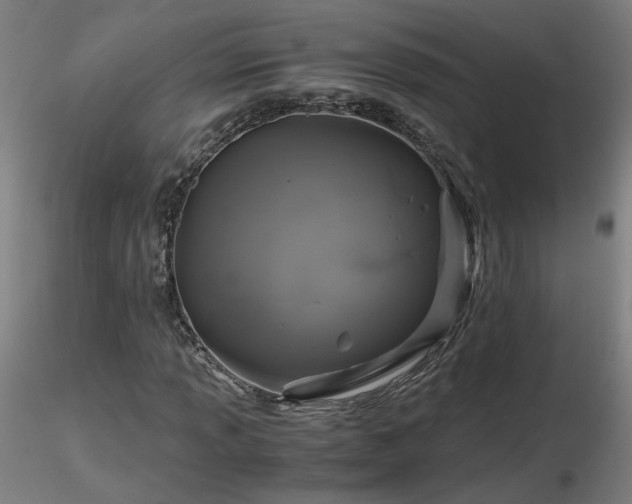X0000116801013200912181313