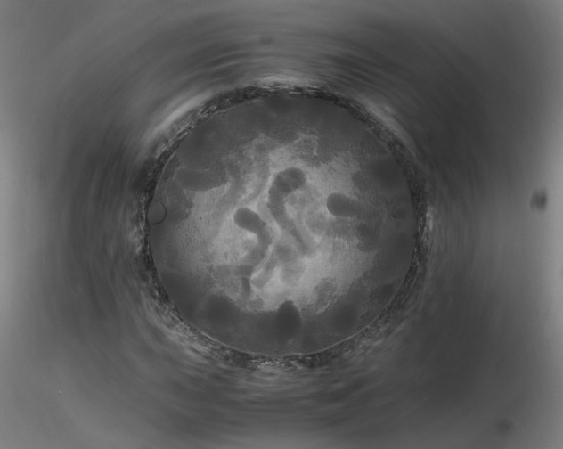 X0000116801015200912181313