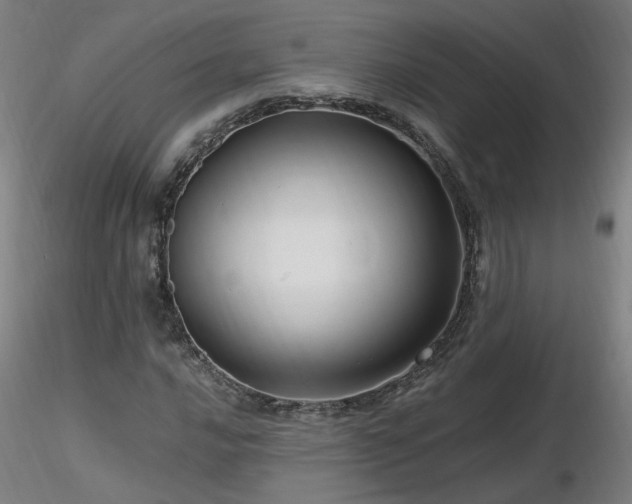 X0000116801016200912181313