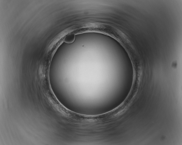 X0000116801017200912181313