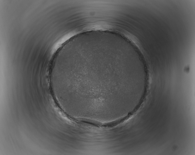X0000116801018200912181313