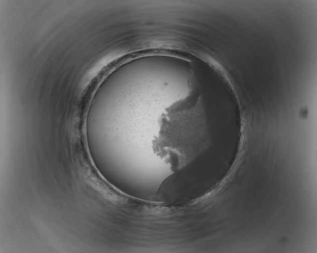 X0000116801019200912181313
