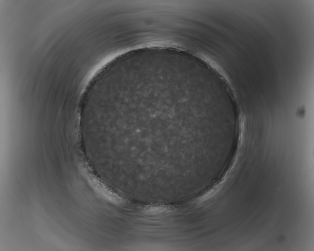 X0000116801021200912181313