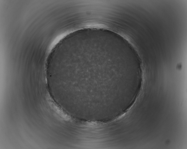 X0000116801022200912181313