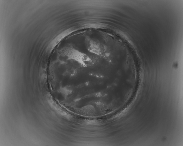 X0000116801025200912181313