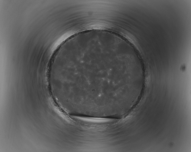 X0000116801026200912181313