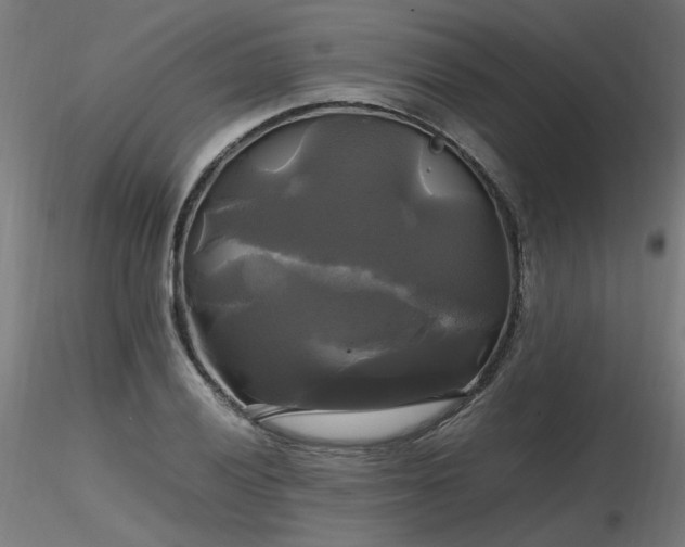 X0000116801028200912181313