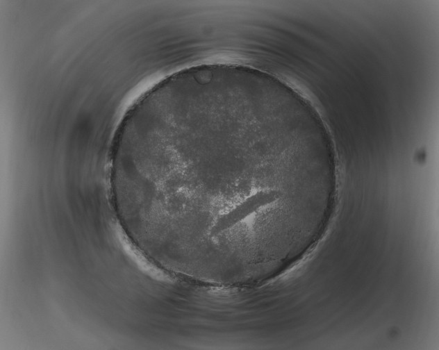 X0000116801029200912181313