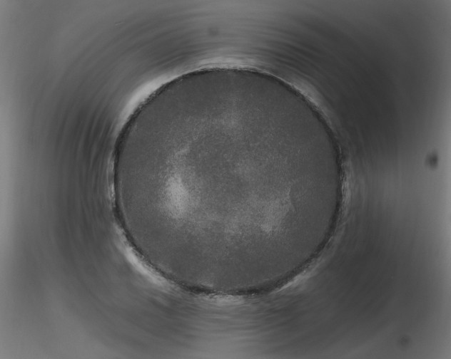 X0000116801030200912181313