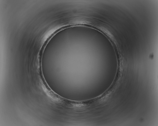 X0000116801031200912181313