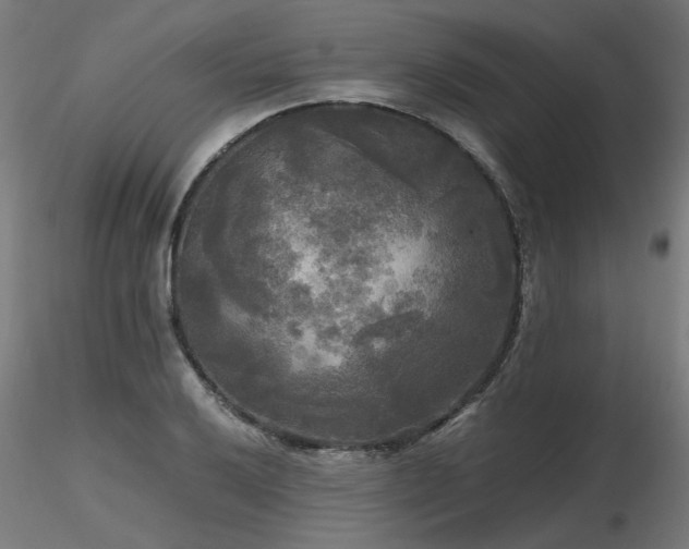 X0000116801032200912181313