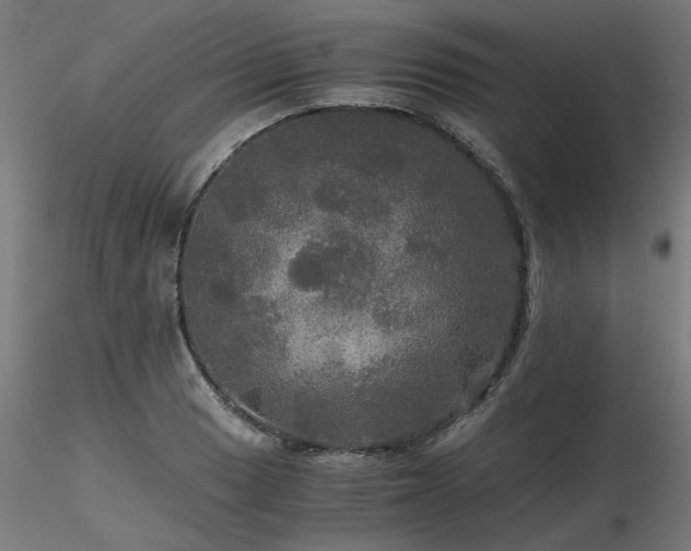 X0000116801033200912181313