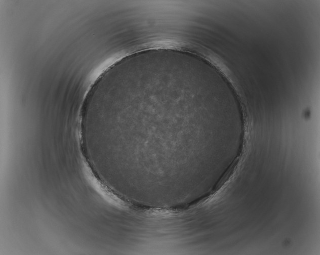 X0000116801034200912181313
