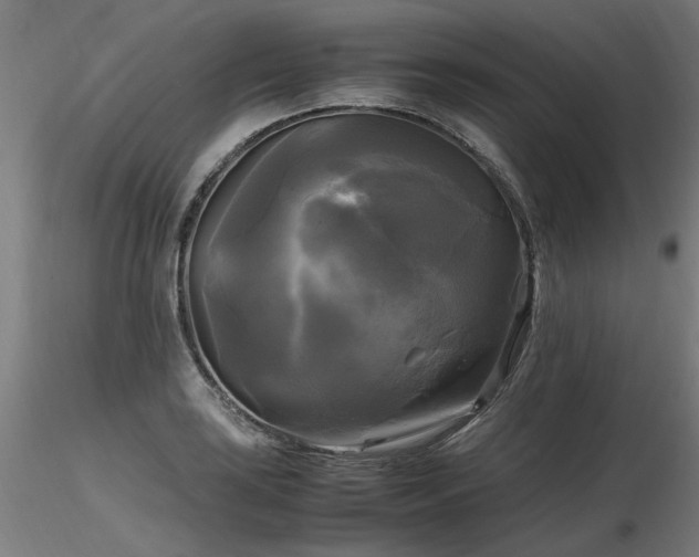 X0000116801035200912181313