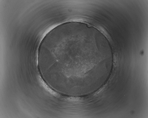 X0000116801036200912181313