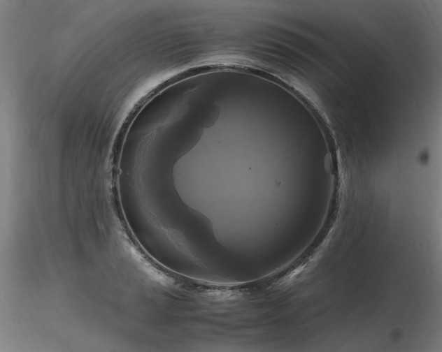 X0000116801037200912181313