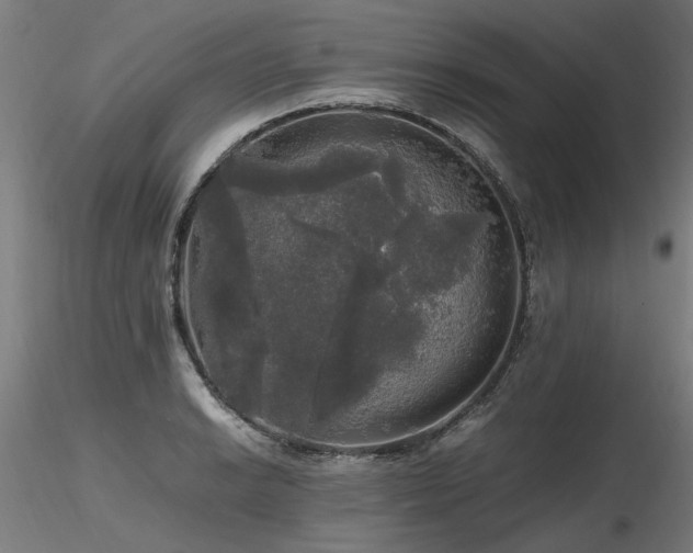 X0000116801038200912181313