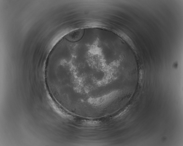 X0000116801039200912181313