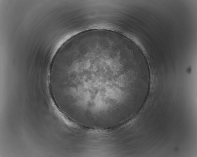 X0000116801040200912181313